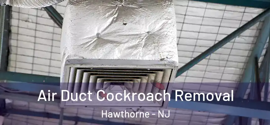  Air Duct Cockroach Removal Hawthorne - NJ