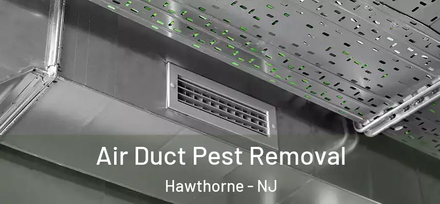  Air Duct Pest Removal Hawthorne - NJ