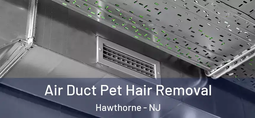  Air Duct Pet Hair Removal Hawthorne - NJ