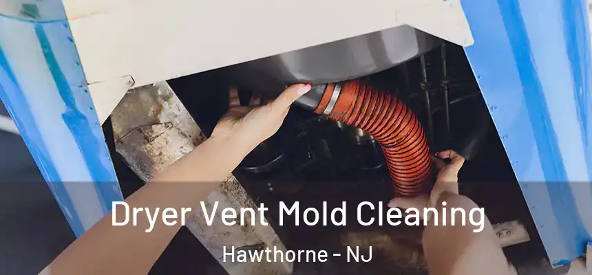  Dryer Vent Mold Cleaning Hawthorne - NJ