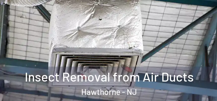 Insect Removal from Air Ducts Hawthorne - NJ