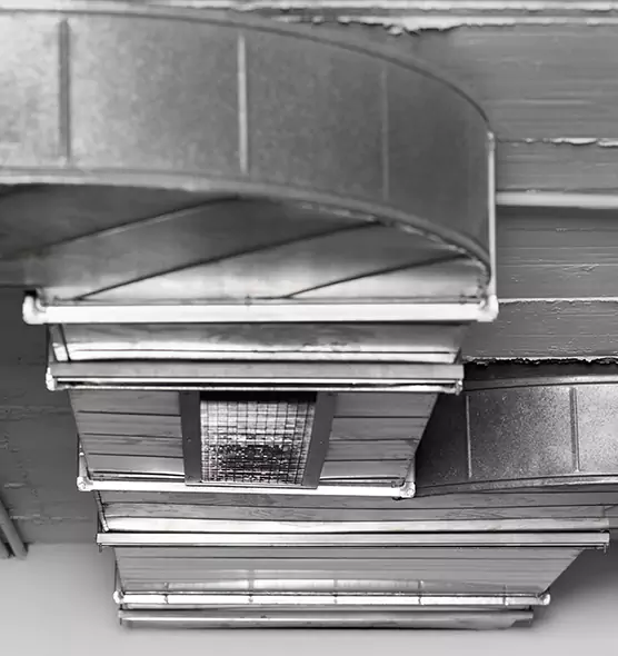 Professional Air Duct Pest Removal in Hawthorne, NJ