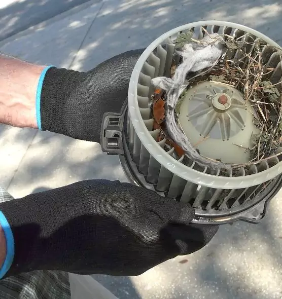 About Air Duct Rat Removal in Hawthorne, NJ